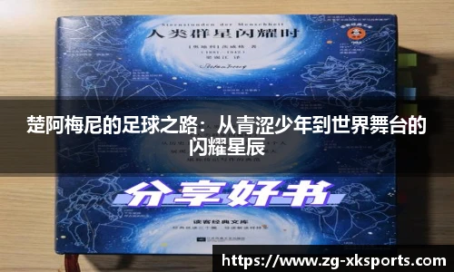 星空体育在线官网