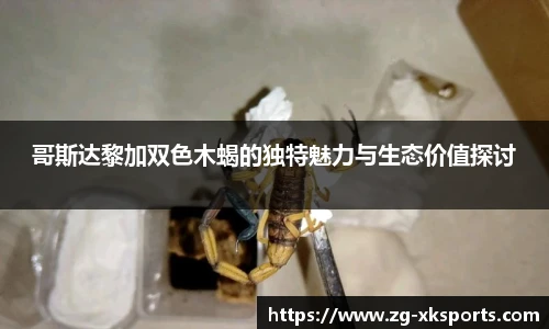 星空体育网站入口
