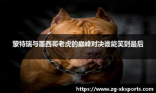 星空体育网站入口